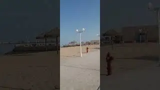 Al wakra beach| Souq Waqif | Al Wakrah Souq + Family Beach Tour | #qatar #alwakra #trending #view