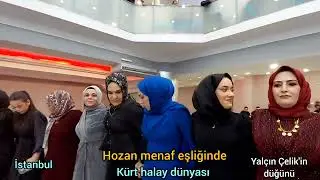 Yalçın Çelik'in düğünü hozan menaf eşliğinde Koçerê cidda