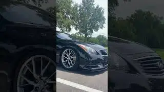 Malbec Black G37 IPL