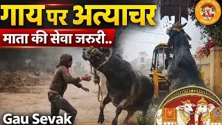 😱🥹🥺#Indian#cow#rescue#team#gauseva#cowvideos##gaushala#cowboys#animals#video#hindu#gaumata#gaushala