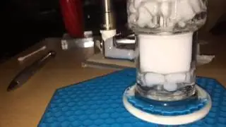 Toro double macro Xl 8-13 slow mo