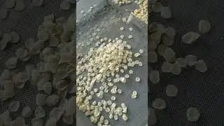 puff snack food machine