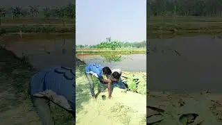 কে টানে।   @comedykings