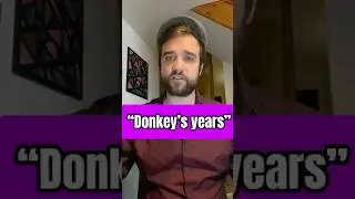 🇬🇧 What does &ldquo;donkey&rsquo;s years&rdquo; mean? 🫏 #englishteacher #englishexpressions #englishslang #english