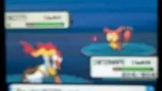 Shiny Skitty - Platinum - Chain of 40 w/ PokeRadar (1/2)