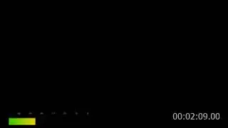 wdys.flac