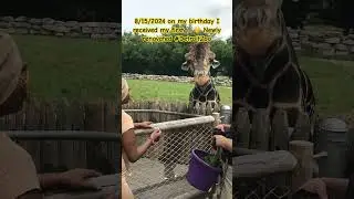 Have you ever had a #GiraffeeKiss #🦒 #DetroitZoo #LeoNation #CancerCanBeFunToo #Zoo #Michigan