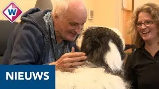 Gehandicapte weer helemaal blij door knuffel met hond - OMROEP WEST