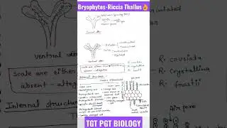 Riccia thallus/ Bryophytes/Plant kingdom🔥#plantkingdom #bryophytes #shorts#tgtpgtexam