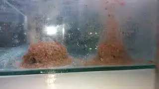 Test method mix eruption mod