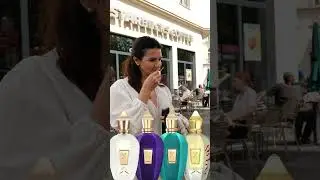 Xerjoff Naxos vs Accento vs Erba Pura vs Decas | Stra&szlig;enumfrage!