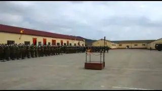 Grupo sam