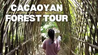 Cacaoyan Forest Park Tour | Like Indonesia