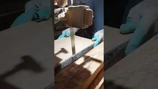 Professional Carpenter Cutting Wood with Extreme Precision