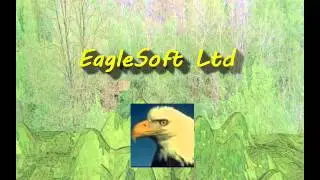 EagleSoft Ltd (NEW)
