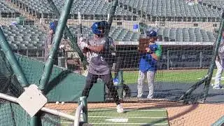 FSS Plus -- Adael Amador BP, Colorado Rockies INF