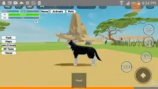 🔴LIVE : Ace The Livlig Playing Animal Simulator Roblox!😃🐾🐺🐶🌿🌺🍃