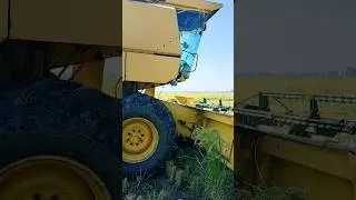 PB1847 Rice Harvesting On 21 October 2024{RiceZone} #agriculture #village #farmer #farming #viral