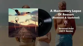 Pink Floyd - Terminal Frost (2019 Remix)