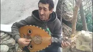 1 مارس، 2025