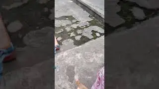 Mobil mainan..ditarik pakai tali rafia...part 1