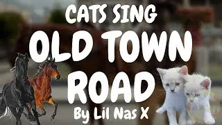 Cats Sing Old Town Road by Lil Nas X | Cats Singing Song