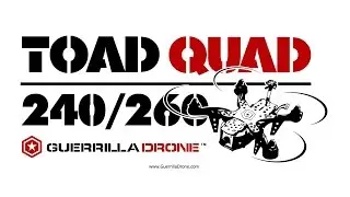 TOAD Quad 260 - Rate Mode Practice Day 7