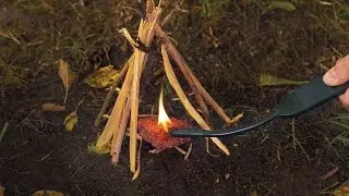Zippo Outdoor : Cedar Fire Starter & Flex-Neck Utility Lighter
