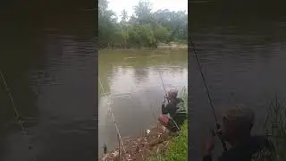 Ощущения от вываживания крупной рыбы, похожей на тавес, просто невероятные! #рыбалка #рыболовнаям...