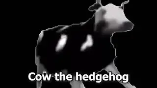 15 Dancing Polish Cow Sound Variations in 60 Seconds