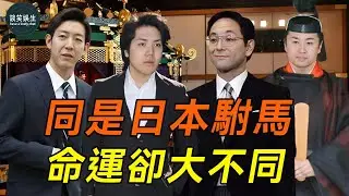 娶了日本公主就能一步登天？這4位駙馬爺有人歡喜有人愁，真子老公小室圭下場最淒涼！#真子公主#日本王室#談笑娛生