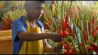 Exotic flower farms visit FLOWEX 2016