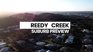 Reedy Creek