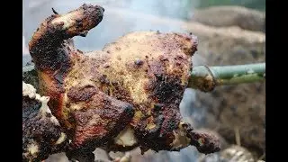 Nature GRILLED CHICKEN / Food Galata