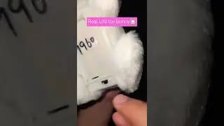 Real life toy bunny for little mimi 🐰🤍 #toys #review #babybunny #little #youtubeshorts