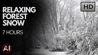 Forest snowfall ambience for studying, sleep, and meditation. No AI