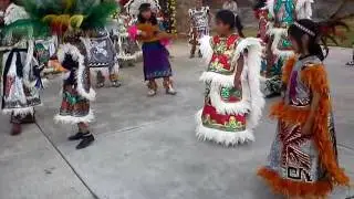 Danza de concheros de santa cruz tepexpan(2)