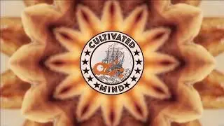 SUNDAY SCHOOL (LYRIC VIDEO) - CULTIVATED MIND (2019)