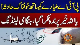 PIA flight narrowly escapes accident after bird strike | Breaking News | City 41