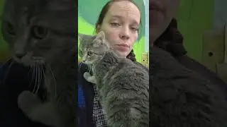 Готовимся к минус 45 #животные #помощьбездомным #помощь #добро