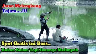 Info Spot Mancing Liar Surabaya Paling Ter Haup Ternyata Disini Sarangnya Ikan