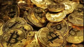 Bitcoin Logo Animation Sample | Hire Logo Animator | Best Logo Animation 2020
