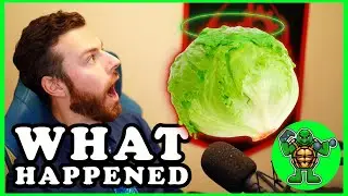 Vegan for 3 Months Experiment. Really Surprising Results!