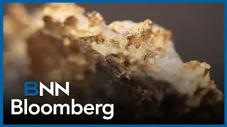 The west is driving the gold rally: Ghali