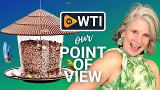 Hanizi Hanging Bird Feeders | Our Point Of View