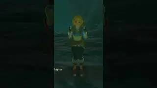 YOU ARE NOT ZELDA!? Do You Also Hate When This Happens? Legend of Zelda, tears of the kingdom #short
