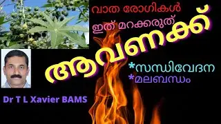 Avanakku uses for vatha vedhana|How to Use Castor Oil Pain Constipation Relief Dr T L Xavier Ayurved
