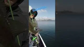 Diamond Valley CA #largemouthbassfishing