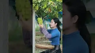 Как есть виноград