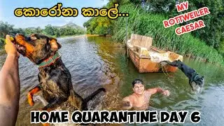 කොරෝනා කාලේ නිරෝධායනය 😷, HOME QUARANTINE DAY 6,Vlog 75  #corona #covid19 #quarantine 🐕